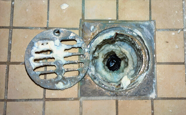 https://blockeddrainsdianella.com.au/uploads/2025/07/blocked-shower-drains-33151.jpg