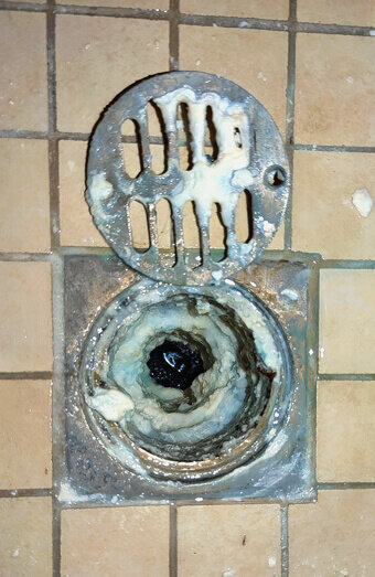 https://blockeddrainsdianella.com.au/uploads/2025/07/blocked-shower-drains-86331.jpg