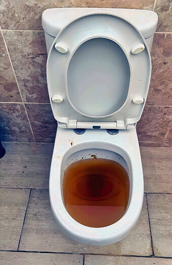 https://blockeddrainsdianella.com.au/uploads/2025/07/blocked-toilet-76873.jpg